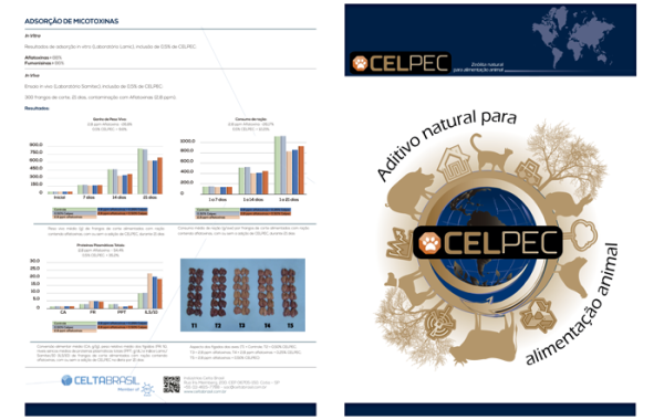 Diagramação – Celpec – Celta Brasil