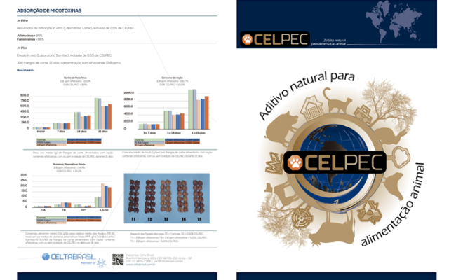 CELTA BR – CELPEC